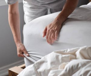 Sabanas albergues y alojamientos